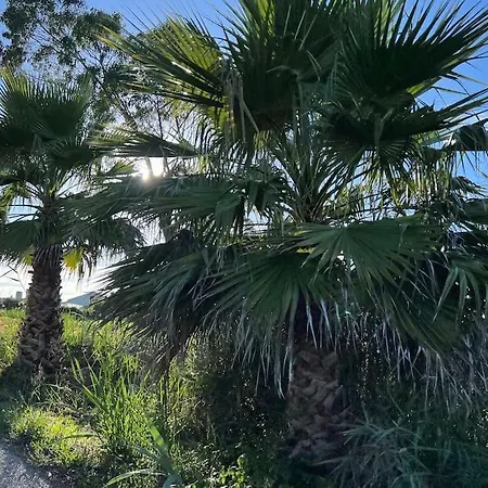 Escapada Amarela Et Detente Tatil Evi *